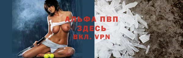 ГАЛЛЮЦИНОГЕННЫЕ ГРИБЫ Белокуриха