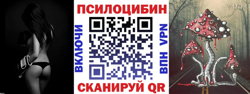 Галлюциногенные грибы Psilocybe  Талдом 
